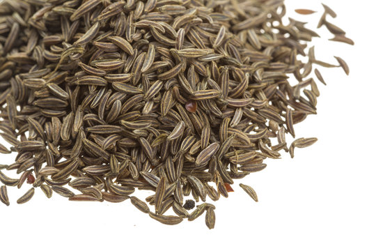 caraway