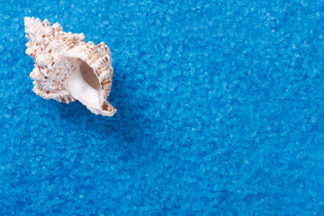 Fototapeta na wymiar Beautiful background of large sea salt with Shell.