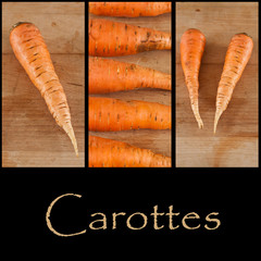composition carottes