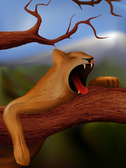 Naklejka premium lioness yawning