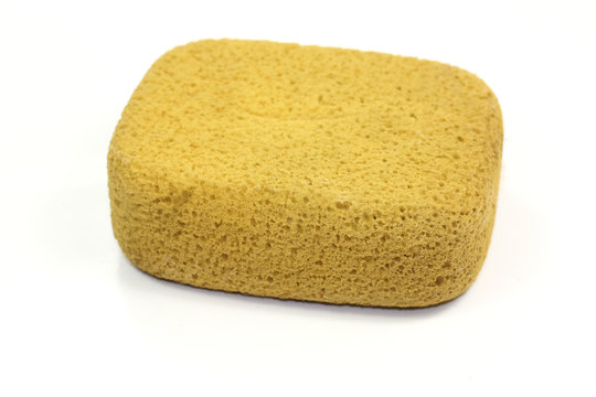 &eacute;ponge