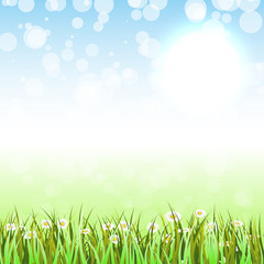 Obraz premium Spring Background