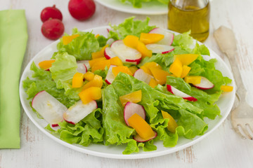 salad with radish on the white plate