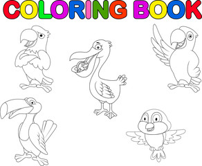 Bird collection coloring book