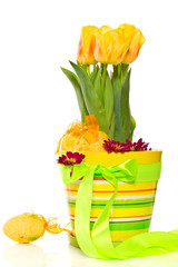 Yellow tulips in a pot