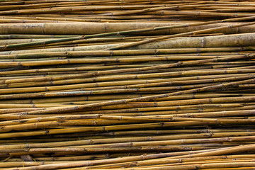bamboo texture