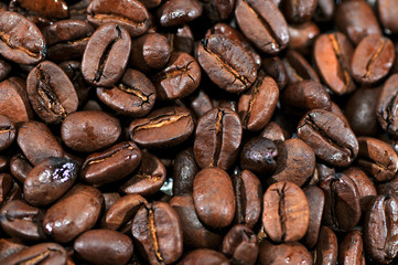Kaffeebohnen