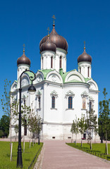Fototapeta na wymiar Ekaterina katedra. Puszkina. Petersburg. Rosja