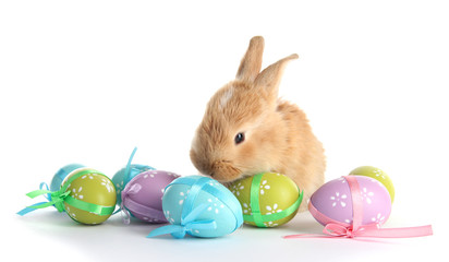 Fluffy foxy rabbit with Easter eggs isolated on white