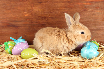 Fluffy foxy rabbit in a haystack with Easter eggs