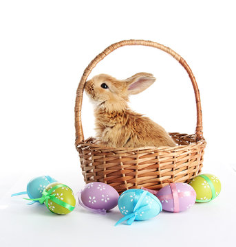 Fluffy foxy rabbit in basket with Easter eggs isolated on white