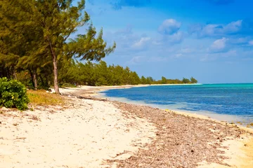 Keuken foto achterwand Seven Mile Beach, Grand Cayman Kaaiman Eilanden