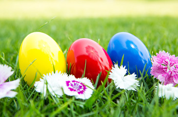 Fototapeta na wymiar Easter eggs on green grass with flower
