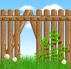 Fototapeta premium Wooden fence on green grass with daisy