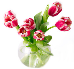 Fototapeta premium Bouquet of pink tulips in a vase