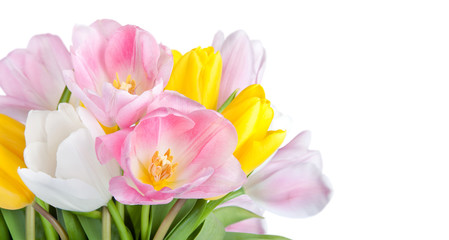 Obraz na płótnie Canvas beautiful spring tulips flowers