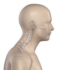 Kyphotic spine in cervical region phase 2