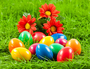 Fototapeta na wymiar Easter eggs in Fresh Green Grass .