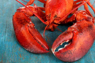 Red lobster on wooden table close-up