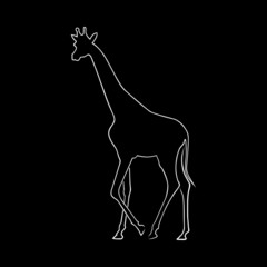 Giraffe Vector