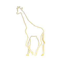 Giraffe Vector