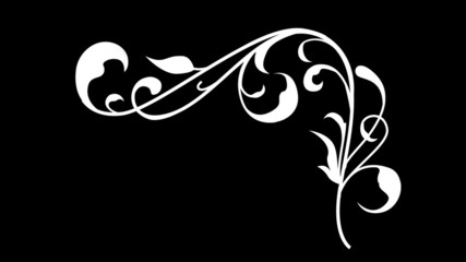 12 Different Vine Floral Flourish Growing Animations