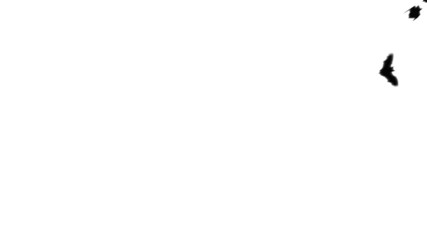 Bats Flying across the screen transition 3 styles