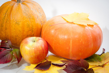 beautiful autumn harvest and leaves