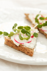 sandwiches with radish and sunflower sprouts