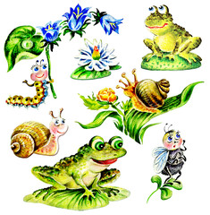 Snails, frogs, Caterpillar with flower, fly, water lily