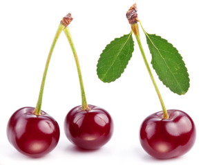 Cherries with leaves on a white background.
