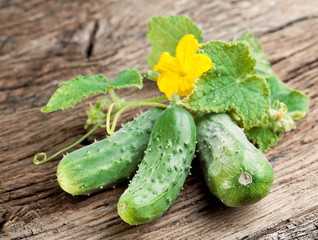 Cucumbers with leaves