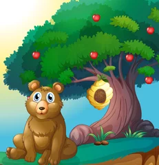 Foto auf Acrylglas Bären Ein Bär vor einem großen Apfelbaum mit Bienenstock