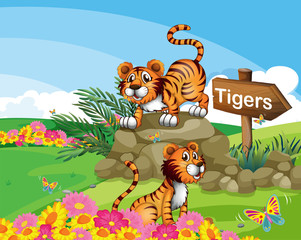 Twee tijgers naast een uithangbord