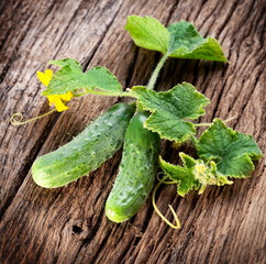 Cucumbers with leaves