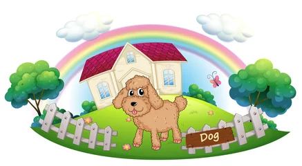 Fotobehang Een bruine puppy voor een huis © GraphicsRF