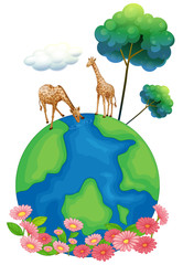 Two giraffes above the earth