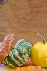 Autumn pumpkins and autumn leaves
