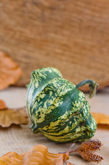 Autumn pumpkin