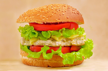 Burger fast food