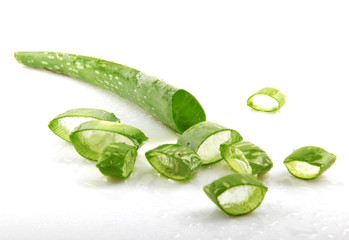 Obraz premium Aloe
