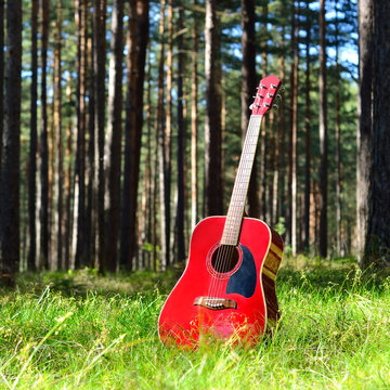 guitar acoustic in the grass in the forest
