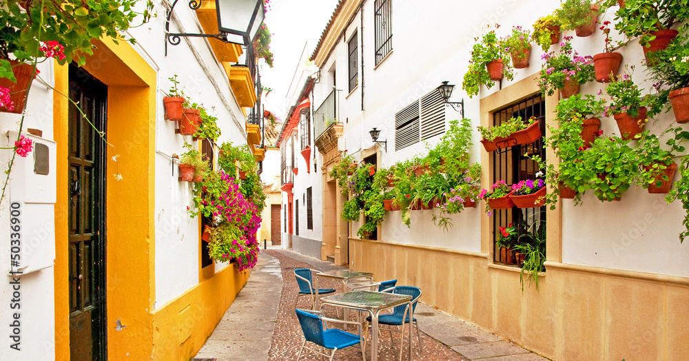 Wall mural patio in cordoba, spain