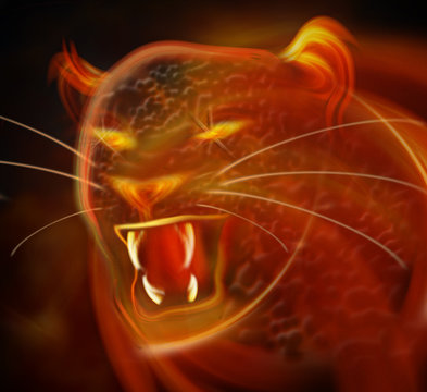 abstract leopard attack