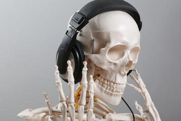 skelett hört musik