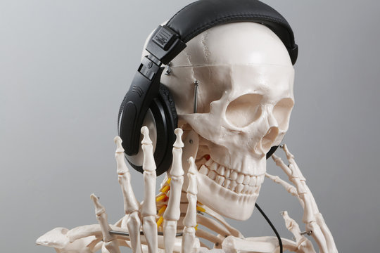 skelett h&ouml;rt musik