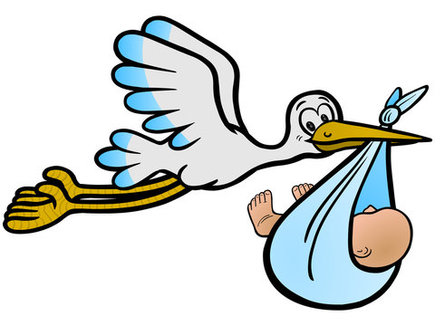 Der Storch bringt einen Jungen &ndash; Vektor und freigestellt