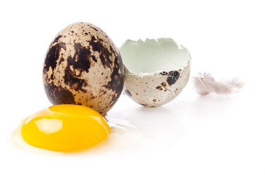 Egg Yolk And Quail Egg With Feather Isolated On White Background