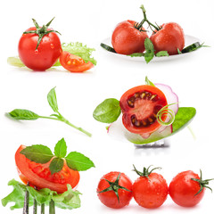 Collections of Tomatoes and leaves of spinach isolated on white