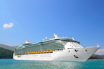 Luxury Cruise Ship Sailing from Port